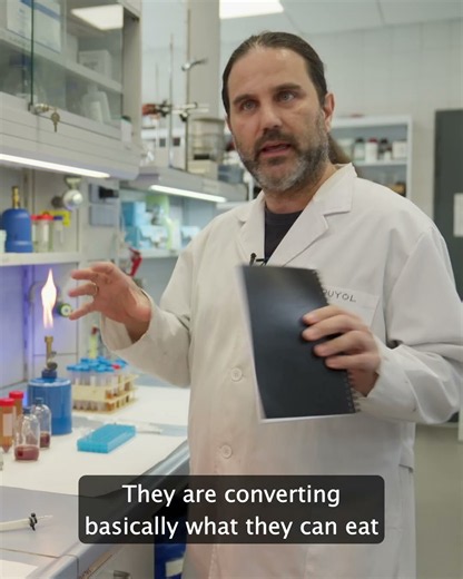 Why these EU scientists are using bacteria to get rid of waste