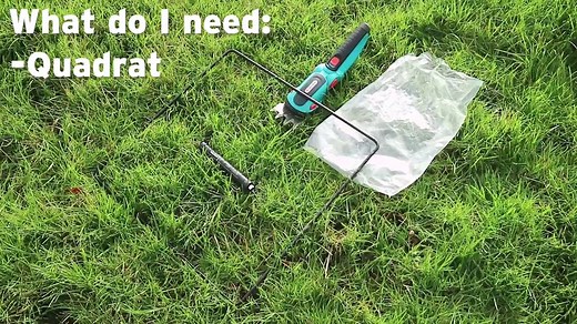 8.1K views · 46 reactions | Teagasc researcher John Heslin explains...