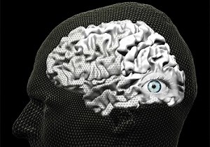 World-first brain imaging study to understand mind blindness