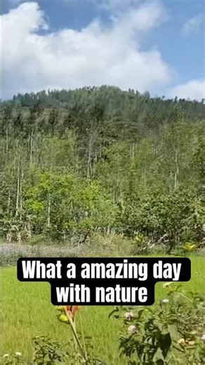 What a amazing day with nature part-61 @touchwithnatures