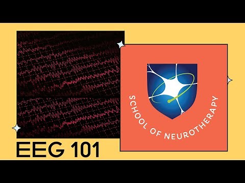 EEG 101