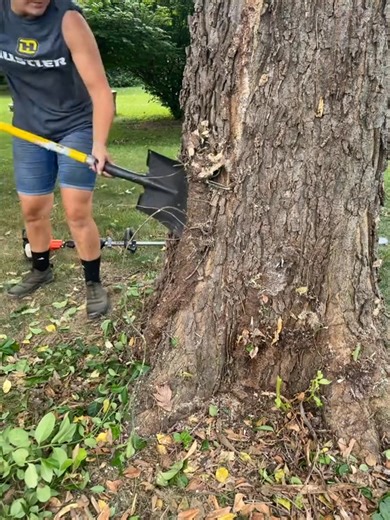 9.9K views · 148 reactions | Ya’ll it was a FIGHT! … I couldn’t even see in there to know where to start hacking it off at! 若 #asmr #beckthebeast #vines #fight #foryou | Beckthebeast | Facebook