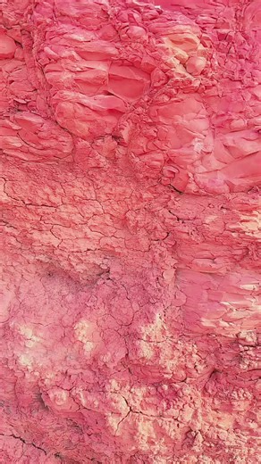 Exploring Clay Art: Growth and Creative Techniques