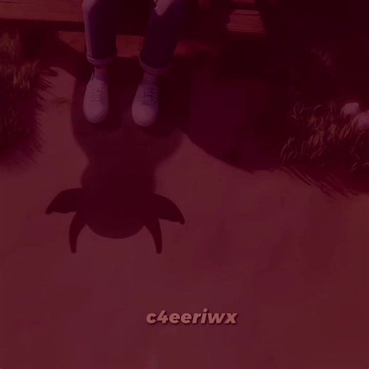 Bison Encounter in Białowieża National Park