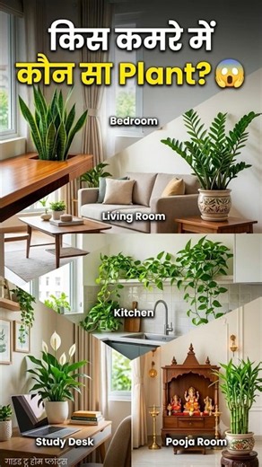 घर के हर कमरे के लिए कौन सा Indoor Plant? 🌿 सही जगह रखें ये 5 पौधे!#IndoorPlants #IndoorPlant
