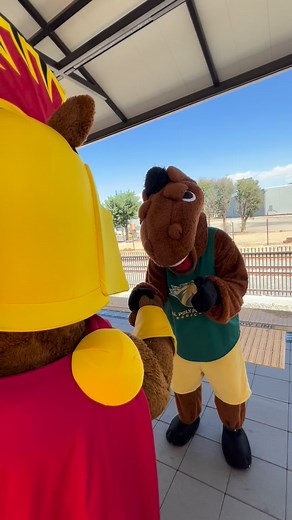 7.8K views · 107 reactions | Transfer Students 欄 CPP Attending one of our local community colleges, like Pasadena City College? We’d love to see you become a Bronco next fall at Cal Poly Pomona!  Applications for Fall 2026 are due Dec. 1! Don’t delay! Apply today: www.cpp.edu/apply | Cal Poly Pomona | Facebook