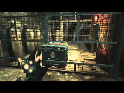 Singularity All Collectibles Guide