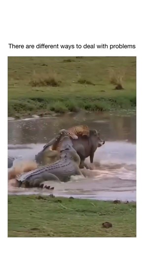 EVERY PROBLEM HAS A SOLUTION #hfam