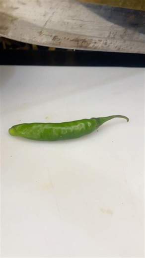 Green 🌶️ chilli cutt asmr #asmr #foryou #fyp #satisfying