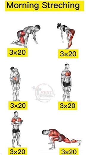 Morning Stretching Routine | Wake Up Your Body & Feel Energized