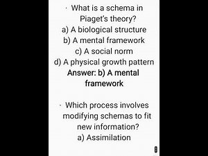 Understanding Piaget’s Theory of Cognitive Development | Explained for All