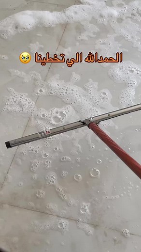 مكنسة سيلفر ستار: الأفضل للتنظيف والتلميع
