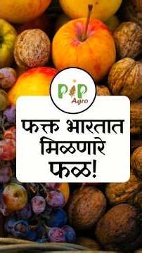 फक्त भारतात मिळणारे फळ! | PIP Agro #farming #kokam