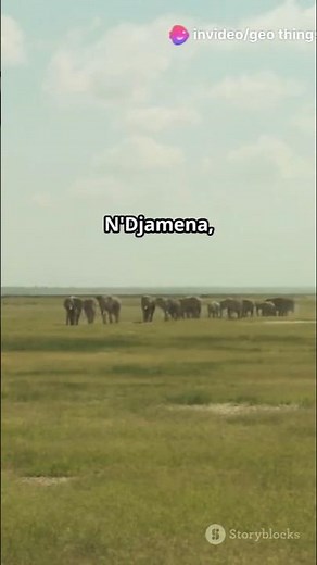 5 Surprising Facts About Chad