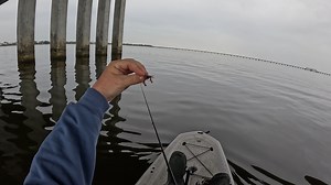 I Used THIS to Catch a GIANT Bridge Fish!! | Southern Salt Fishing