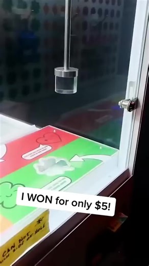 I WON For only 5 Dollars! | Money Claw Machine