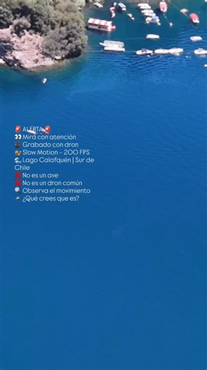 TEMUCOADICTO on Instagram: "🚨🛸 ALERTA EN EL LAGO CALAFQUÉN 🌊👀 Este registro fue grabado con dron y reproducido en slow motion a 200 fps, lo que permite analizar cada movimiento del objeto. ❌ Sin sonido ❌ Sin patrón de ave ❌ Trayectoria poco común 👇👇 💬 Comenta tu teoría 🔁 Míralo más de una vez #UFOChile #OVNI #Avistamiento #Misterio #Inexplicable"