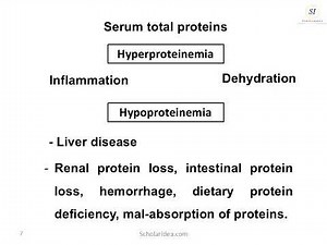 Basics of Clinical Chemistry (Lecture 2025)
