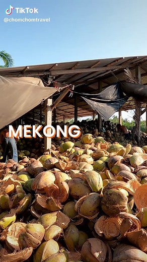Mekong Delta 3-Day Escape: Explore Local Life