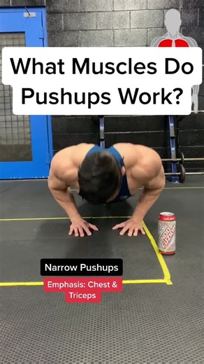 Targeted Muscle Groups in Pushups