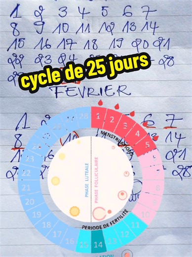 Comment Calculer le Cycle Menstruel de 25 Jours