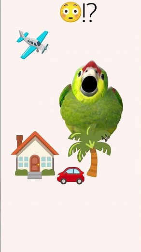 chicken screaming on a tree meme