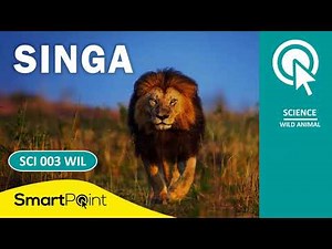 MENGENAL SINGA (SCI003WIL)