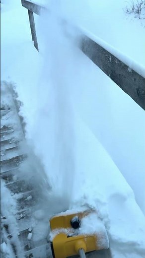 Dewalt 20v snow shovel