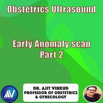 Early Anomaly Scan Part 2