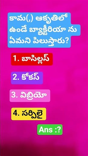 Biology Bits TET and DSC