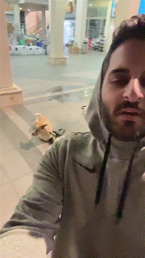 הסרטונים של Ben.dog.trainer 0547595731 (@ben.dog.trainer) עם צליל מקורי - Ben.dog.trainer 0547595731