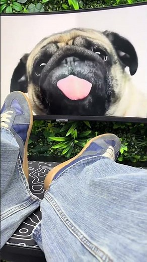 $14 gats in spread #gats #maisonmargiela #gats #niche #fyp