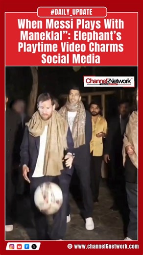 Channel 6 Network on Instagram: "A heartwarming video from Vantara is winning hearts online, showing an elephant named Messi enjoying a playful moment with another elephant, Maneklal. The clip, creatively captioned “When Messi Plays With Maneklal,” draws a light-hearted comparison to football while celebrating the gentle and joyful side of wildlife care. The video has gone viral for its adorable visuals and clever wordplay, with viewers appreciating the rare glimpse of bonding and playtime among