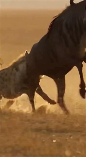 ⚔️ Hyena Pack's Ruthless Takedown: Is Escape Possible? 💨