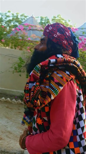 Thar Desert Safari Train Experience in 2026