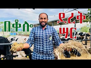 የደረቅ ሳርና የበቆሎ ገፈራ ልዩነታቸውን ዘረዘርኳቸው። The difference between silage and dry grass in amharic.