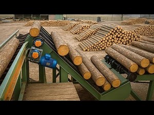 Mass Wood Production Process From Experienced Workers - How to Make Plywood in a Factory