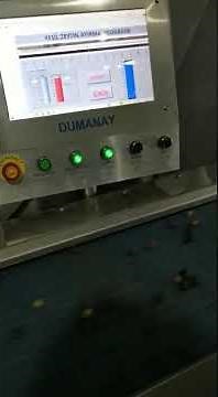 Olive Color Sorting Machine