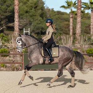 ✨ WE ARE LIVE ✨ Sportive Chantelle just landed💥 Dive into a world of new, clean design and find your favorite styles on site now! 🤍 | EQUESTRIAN STOCKHOLM