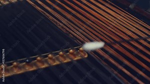 Folk musical instrument. Male hand hold stick and hit strings cimbalom. String instruments background. Cimbalom music playing. Music player playing cimbalom music. Hammered dulcimer playing