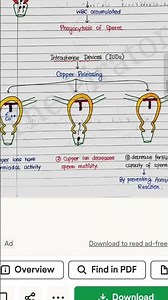 🌸 Bio Ch-2 Class 12 | Sexual Reproduction in FloweringPlants | ImportantQuestions#class12 #biology