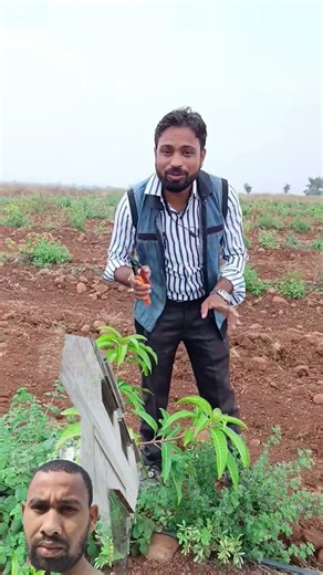 tree farming #reels #lifeisbutadream #jharunic #jharkhand