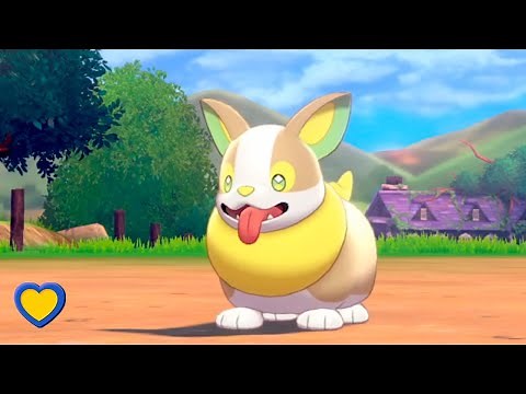 HOW TO GET Yamper in Pokémon Sword and Shield