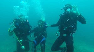 Pacífico: La isla salvaje