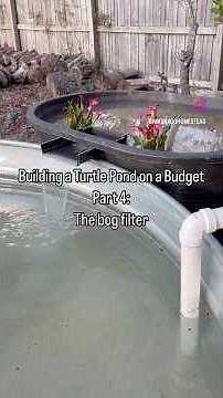 Building a Turtle Pond on a Budget Part 4: The Bog Filter