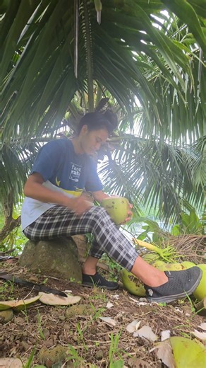 🌕 La légende de Hina et du cocotier 🌴 Dans nos îles, chaque noix de coco cache une histoire… une légende d’amour, de courage et de magie. 💫 On raconte qu’autrefois, la belle Hina, femme de grande sagesse et d’une beauté sans égale, fut poursuivie par un esprit prenant la forme d’une énorme anguille. Effrayée, elle demanda l’aide des dieux qui lui révélèrent comment se protéger. L’anguille fut vaincue, et avant de mourir, elle demanda à Hina d’enterrer sa tête. Hina obéit… et quelques jours pl