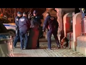 Loose pit bull attacks police officer in Manhattan