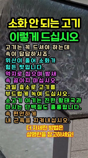 고기는 꼭 먹어야 하는데 소화가 안 될 때 억지로 씹지 않고 단백질 완벽히 흡수하는 열 가지 기적의 식습관 황태 파인애플 효소 분리유청단백질