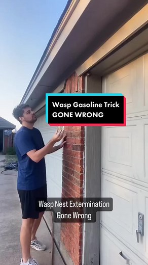 Wasp Gasoline Trick Gone Wrong - The Aftermath