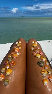 Nellie on Instagram: "How to clean sunrise shells! A lot of you have been asking—there’s no secret really other than patience, a firm hand, and lots of scrubbing 😅 so grateful for all of the tips I’ve received from other shellers and there has been a lot of trial and error! As always, these scallop shells were collected empty. . . . . . . . . #scuba #scubadiving #diving #shells #shelling #ohau #hawaii #ocean #adventure #hilife #oahulife #underwater #freediving #underwaterlife"